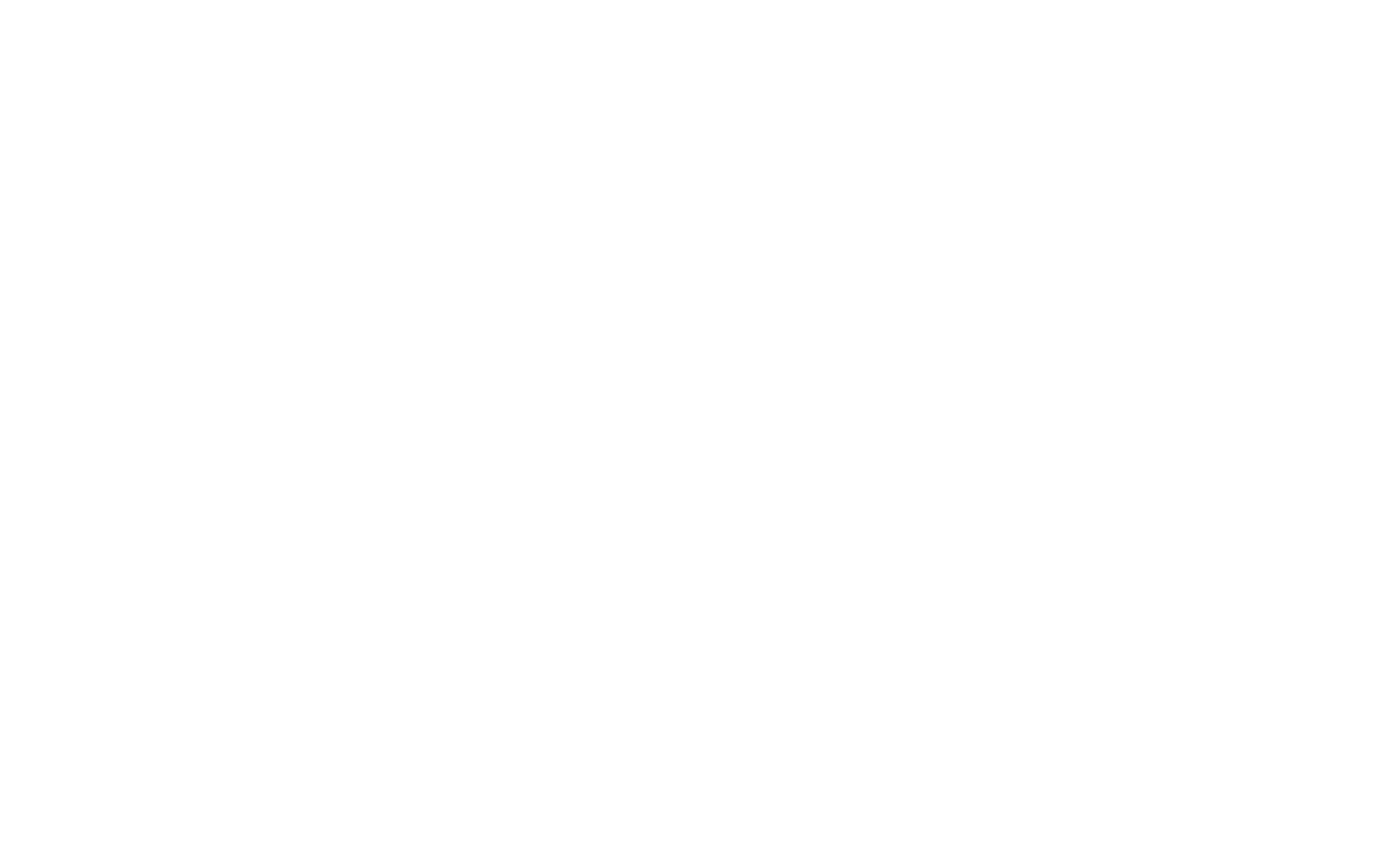 LOGO-AMMO-CONSEIL-38